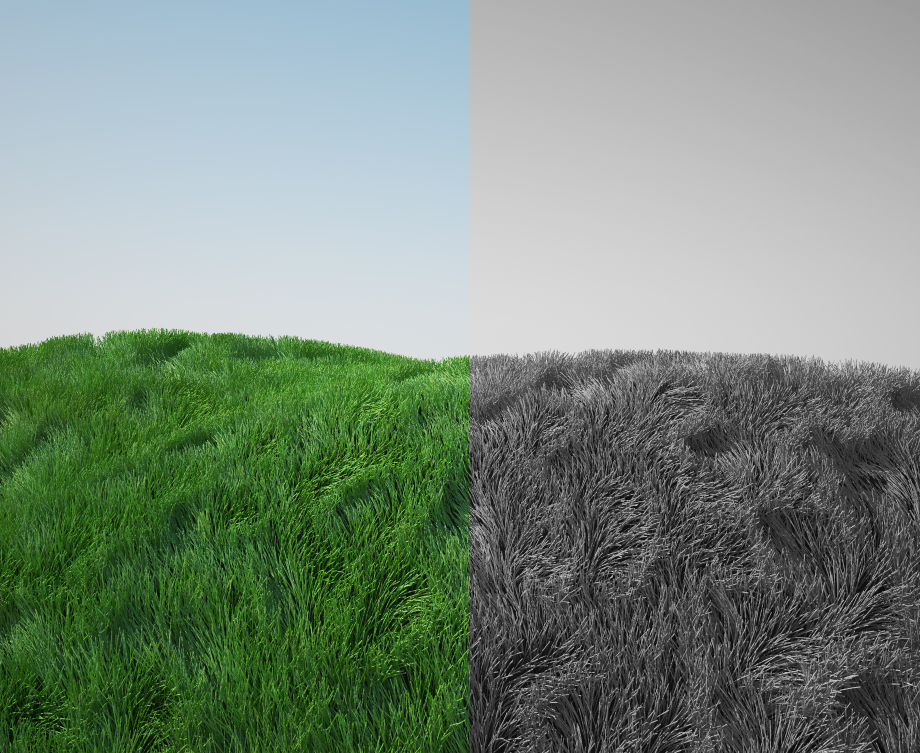 fur+test