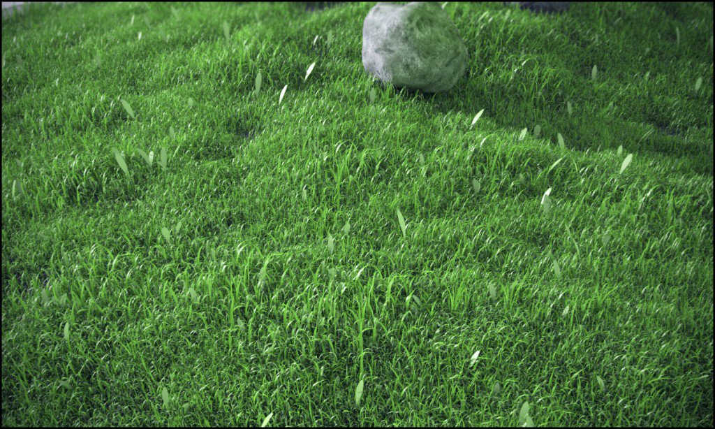 Grassc4d3