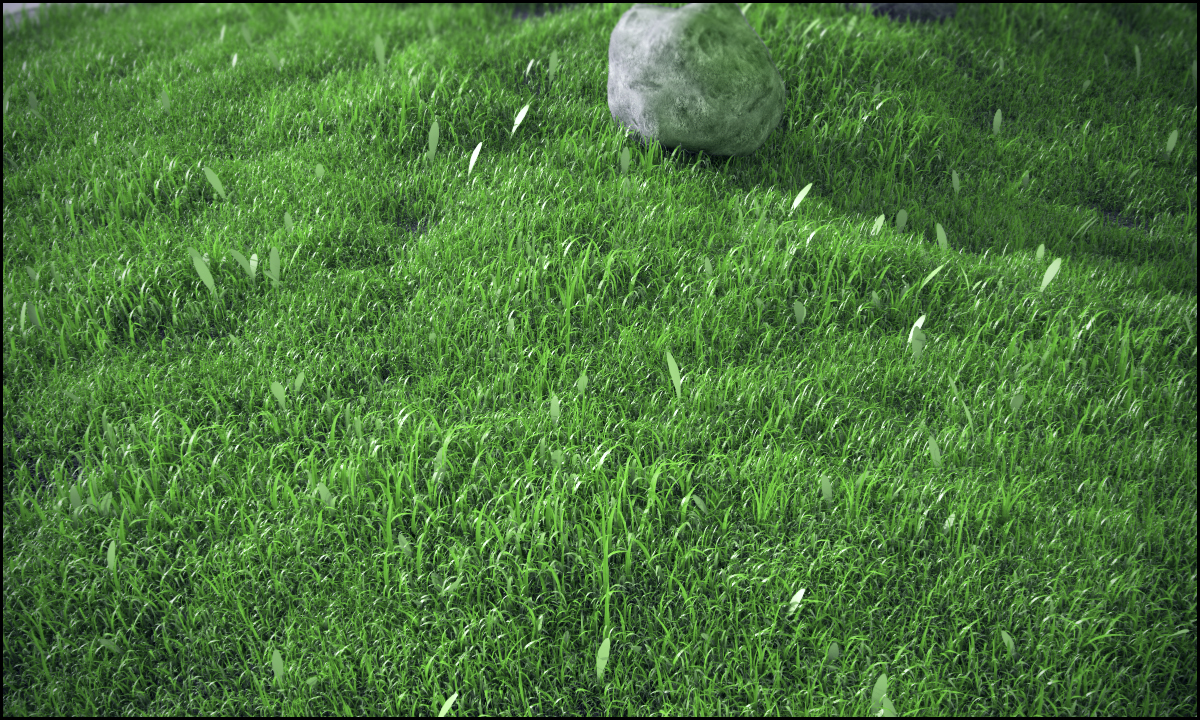 Grassc4d3